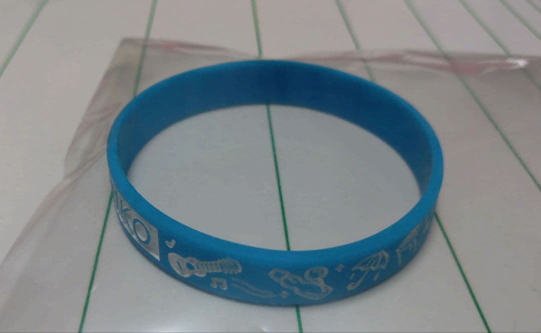 バンド　RIRIKO（NELKE）