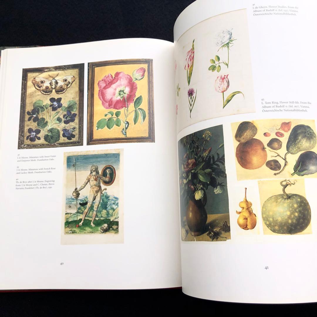 17世紀 花卉画 画集 17th-century Flower Painting