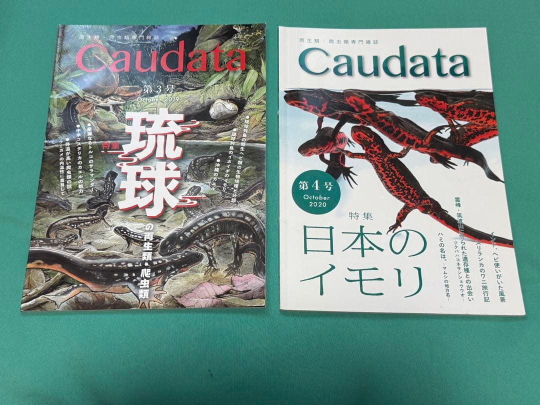 けこけこ Caudata セット(バラ売り不可)