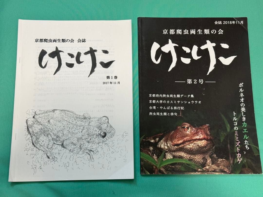 けこけこ Caudata セット(バラ売り不可)