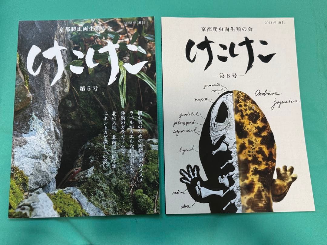 けこけこ Caudata セット(バラ売り不可)