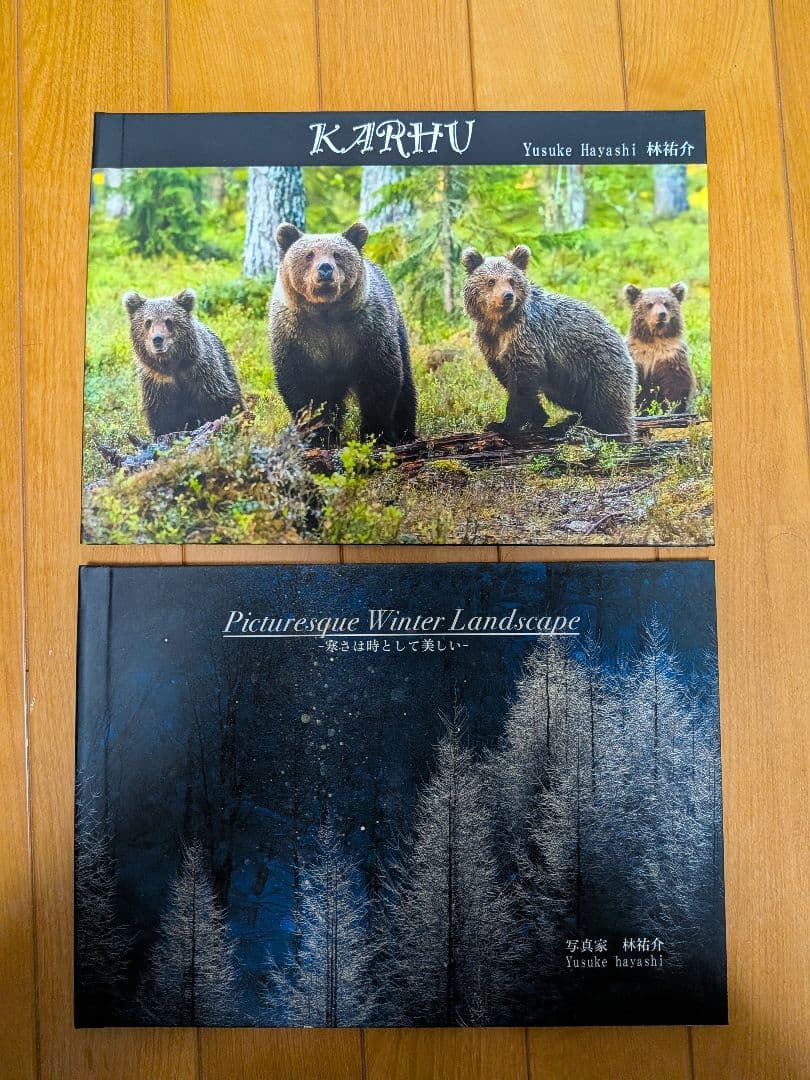 林祐介　KARHU & Picturesque Winter Landscape