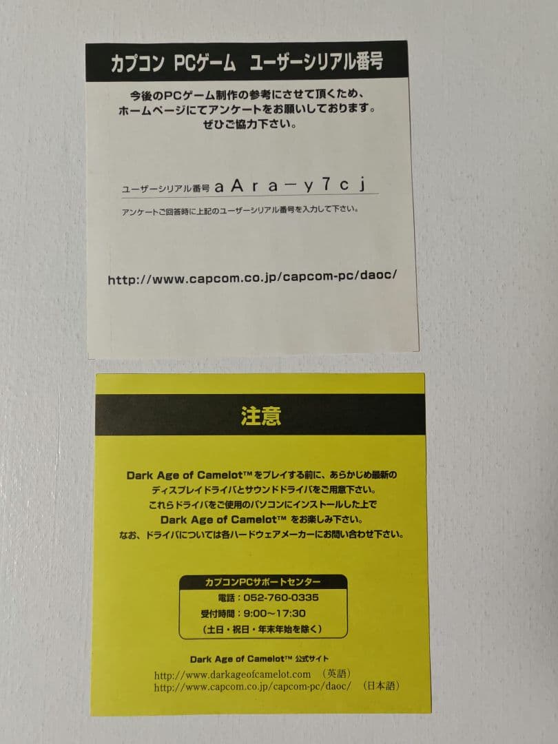 DARK AGE OF CAMELOT ダークエイジオブキャメロット PC版