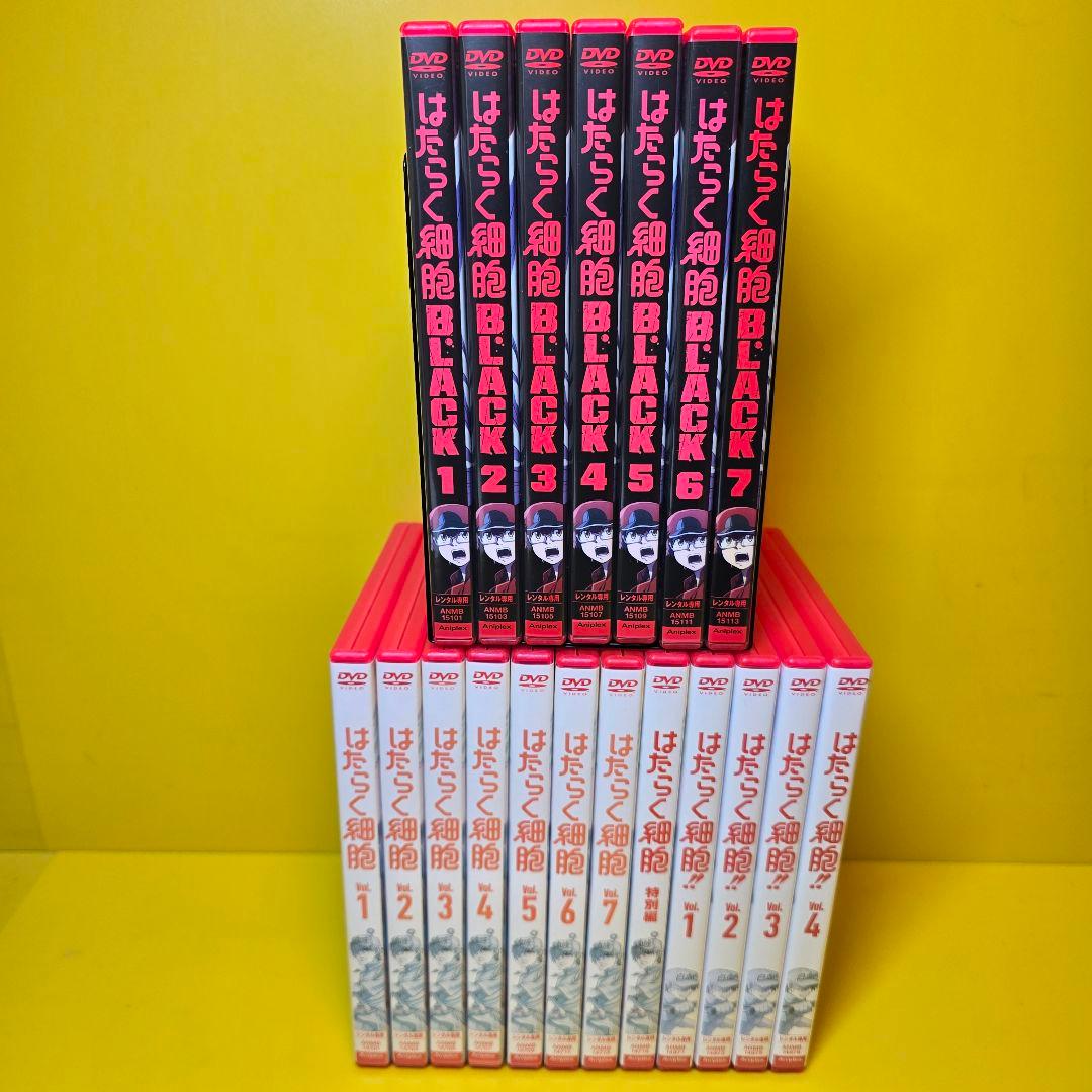 新品ケース交換済み　はたらく細胞　DVD シリーズ　全19巻セット