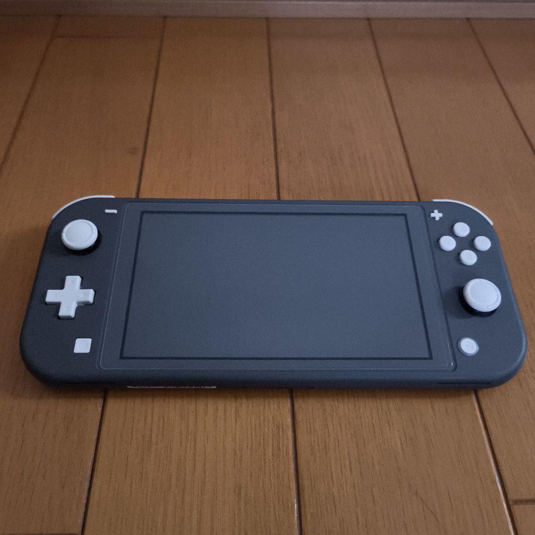Nintendo Switch Lite 箱 充電器 ソフト ケース付き