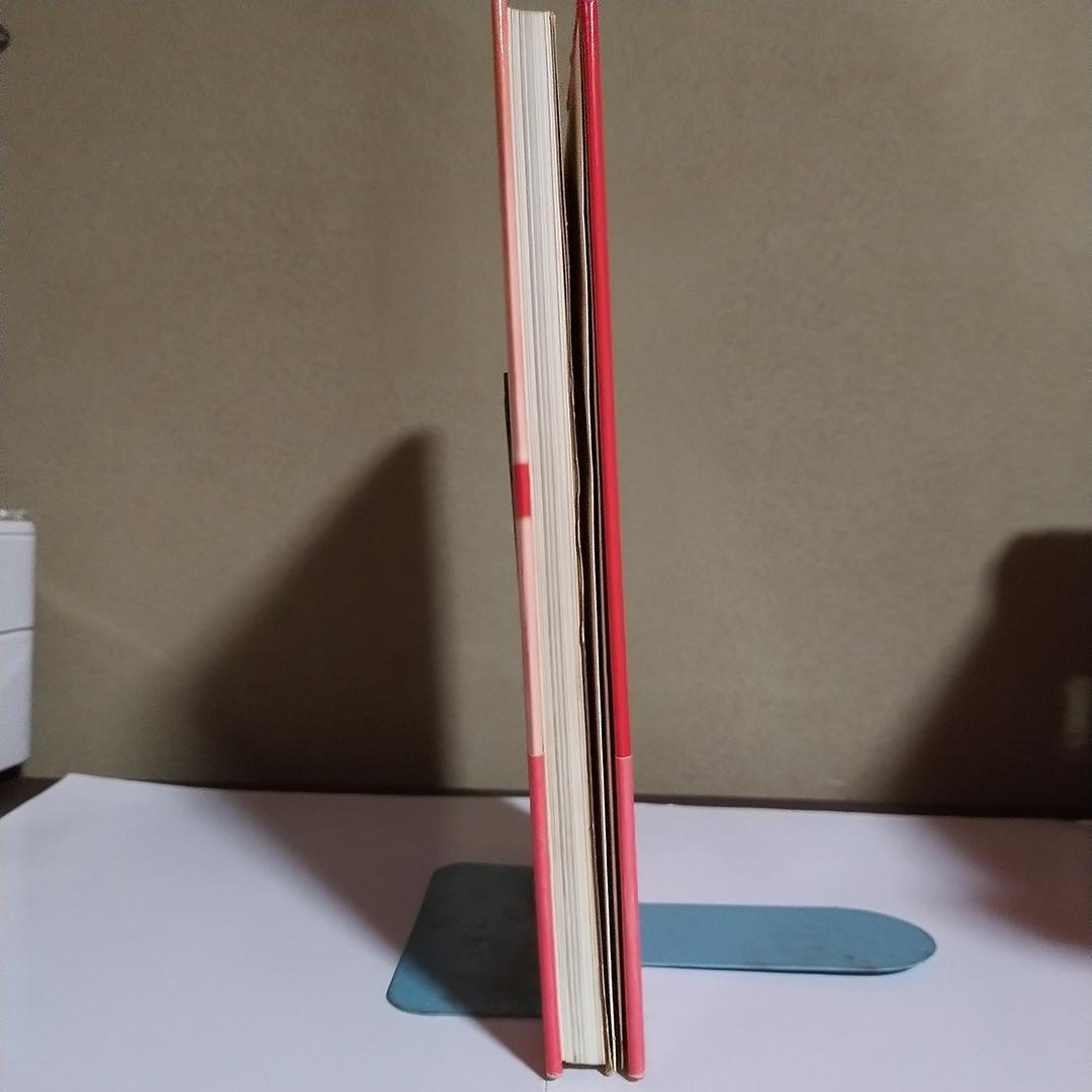 ミ*ル様 伊坂芳太良の世界 Illustration NOW ポスター付