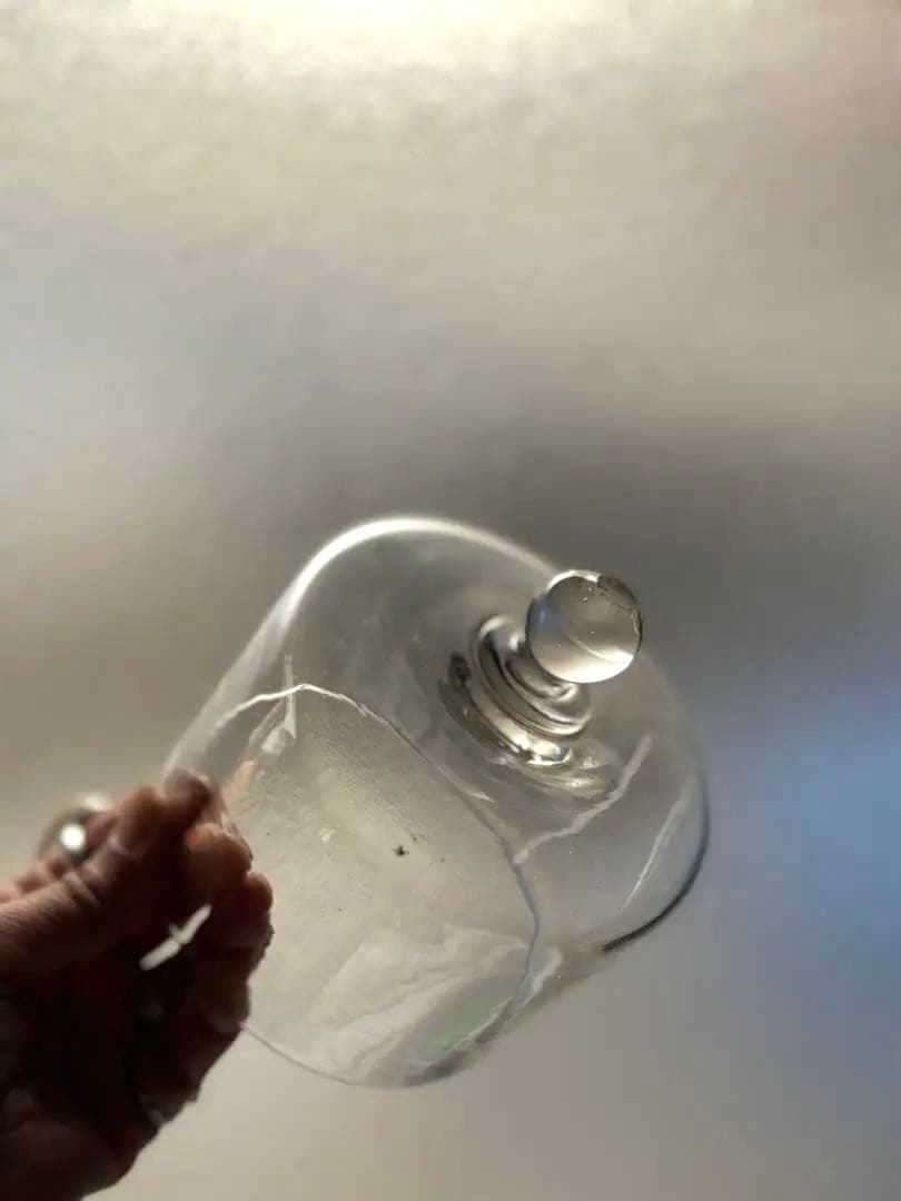 678 フランスアンティーク 古いチーズドーム ガラスドーム 蚤の市購入 パリ