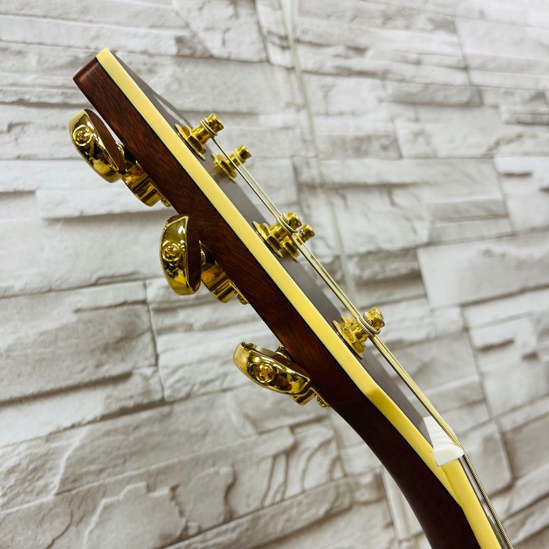 美品 YAMAHA ヤマハ エレアコ LS6 ARE