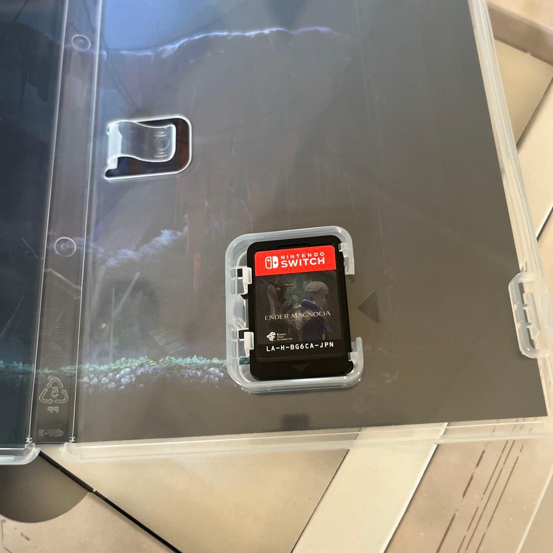 ENDER MAGNOLIA スイッチ