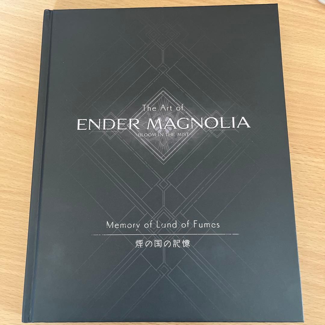 ENDER MAGNOLIA スイッチ