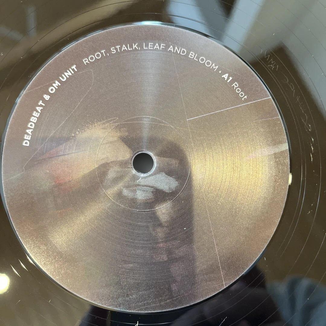 洋楽 DEADBEAT & OM UNIT ROOT, STALK, LEAF AND