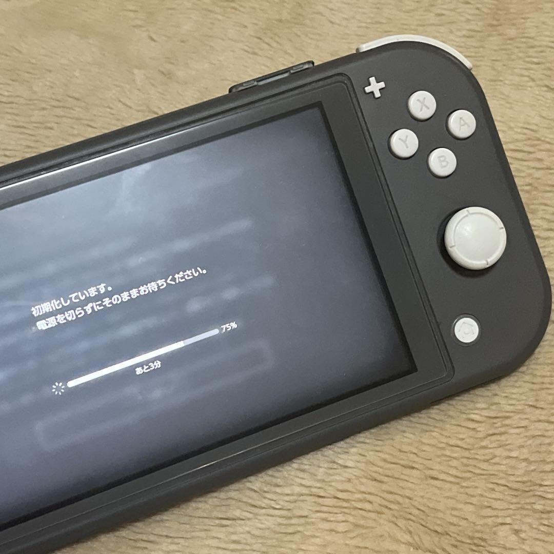 Nintendo Switch Lite グレー 本体 充電器付き　動作確認済み