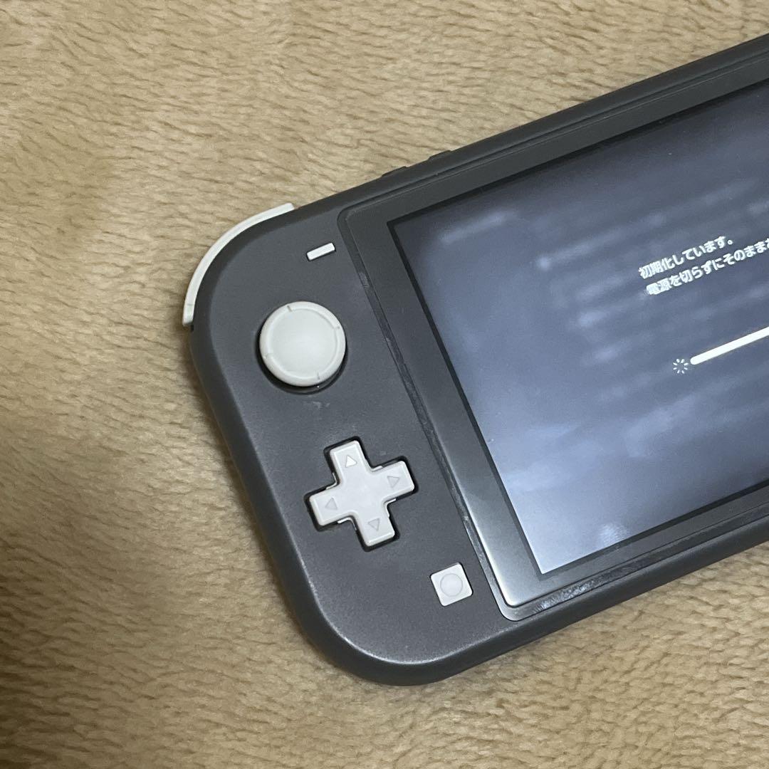 Nintendo Switch Lite グレー 本体 充電器付き　動作確認済み