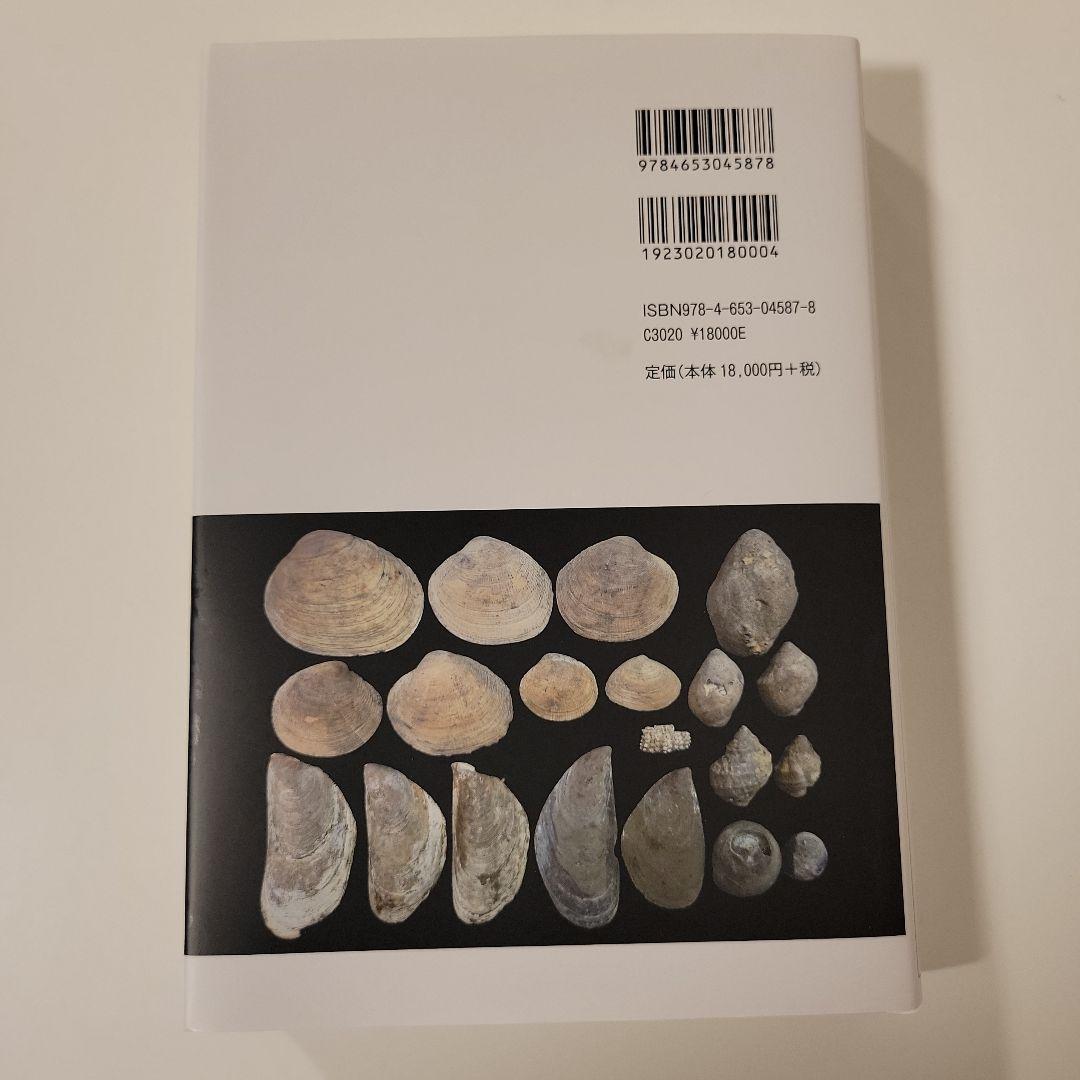 マウンド・ビルディングの考古学 : 先史アンデスにおけるモニュメントの