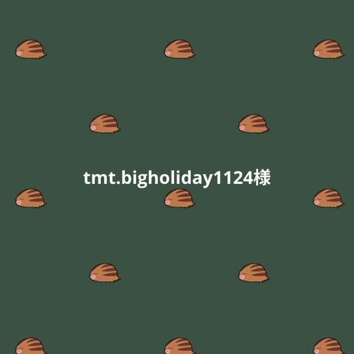 tmt.bigholiday1124様