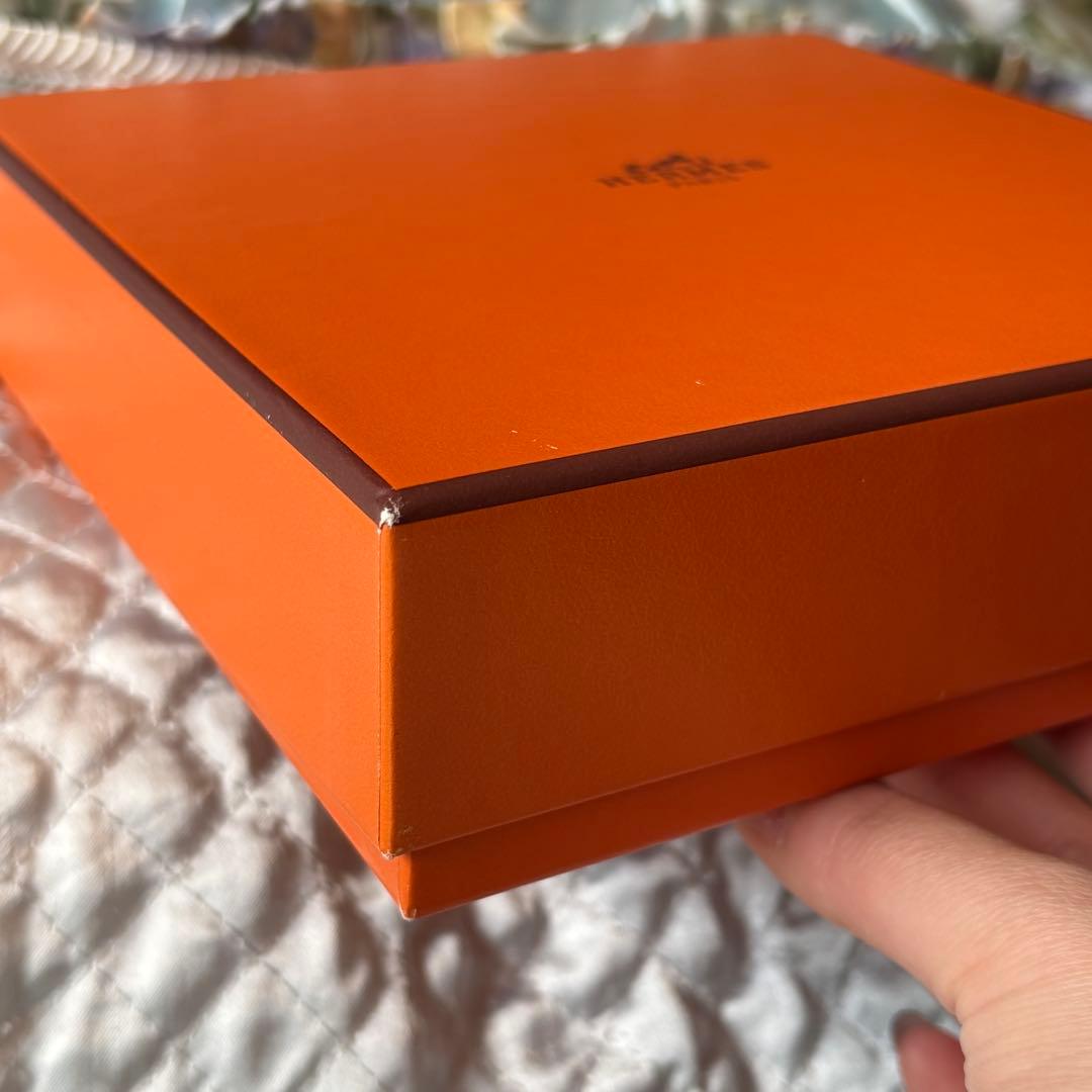 貴重　未使用　エルメス アマゾン ライト オードフレーシュ ハンカチーフ　セット