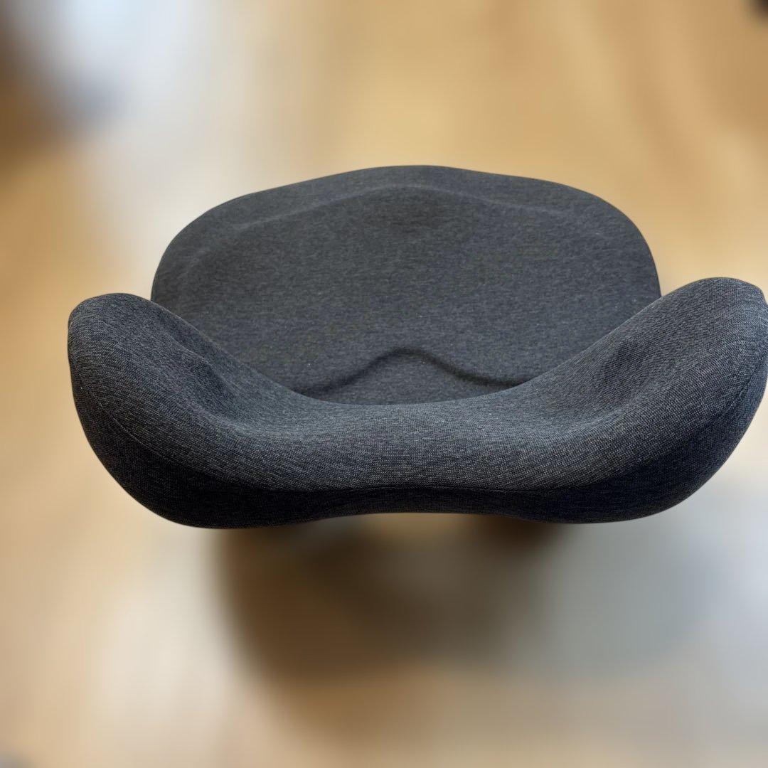 EXGEL 骨盤・姿勢矯正クッション