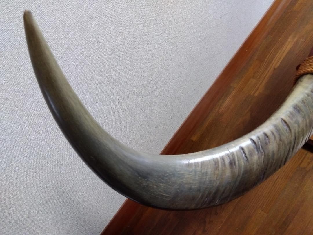 ま　水牛の角の置物　希少　ビンテージ　骨董品　手渡し可（値引）