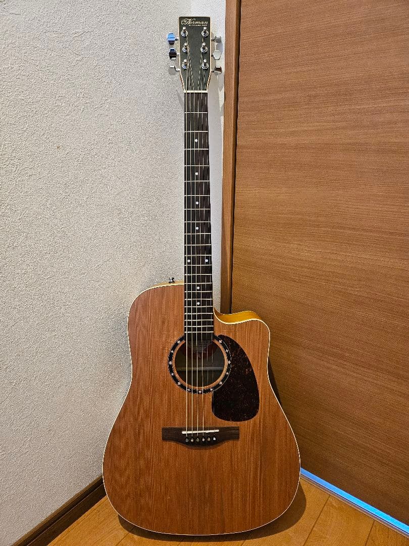 ギター NORMAN B18 CW (fishman presys)