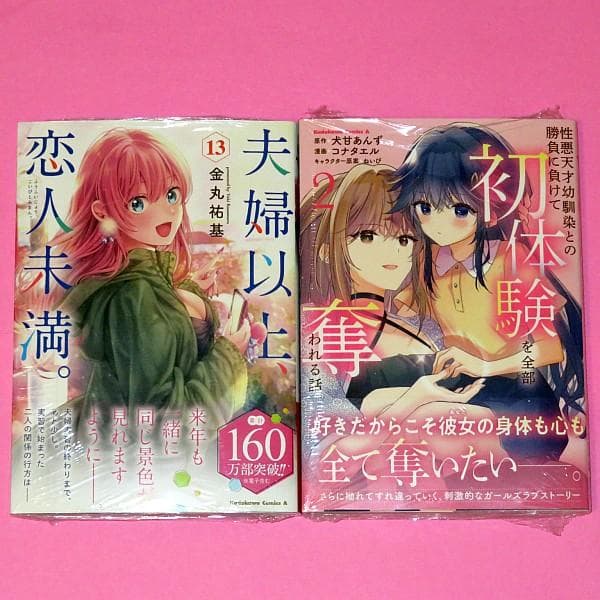 【3月新刊】夫婦以上、恋人未満。13 性悪天才幼馴染との勝負に負けて初体験を 2