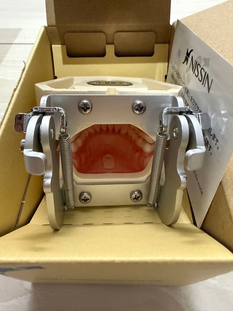 ６月限定値下げ　NISSIN 額模型 歯科模型 セット　歯科衛生士