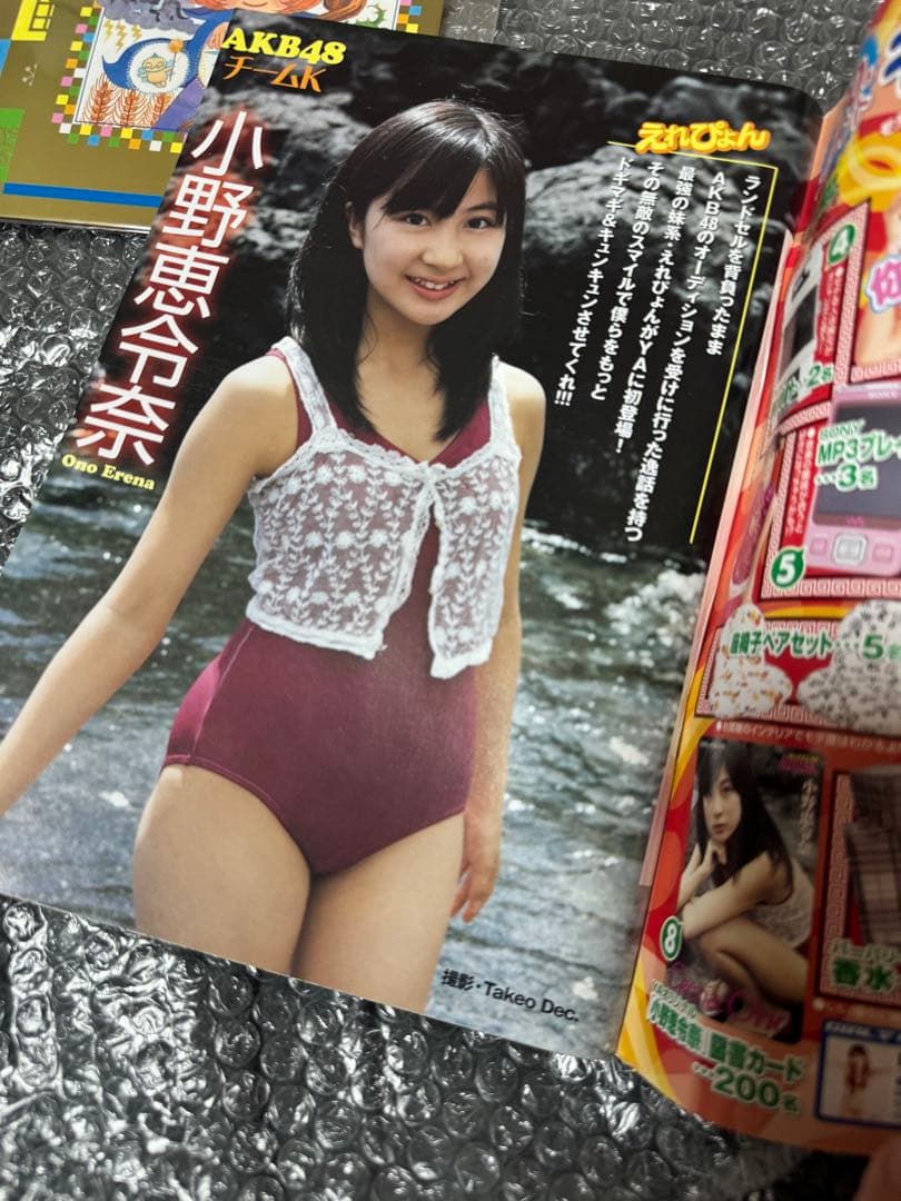 レア ヤングアニマル 2008年 21号 特別カバー付き ベルセルク 三浦建太郎