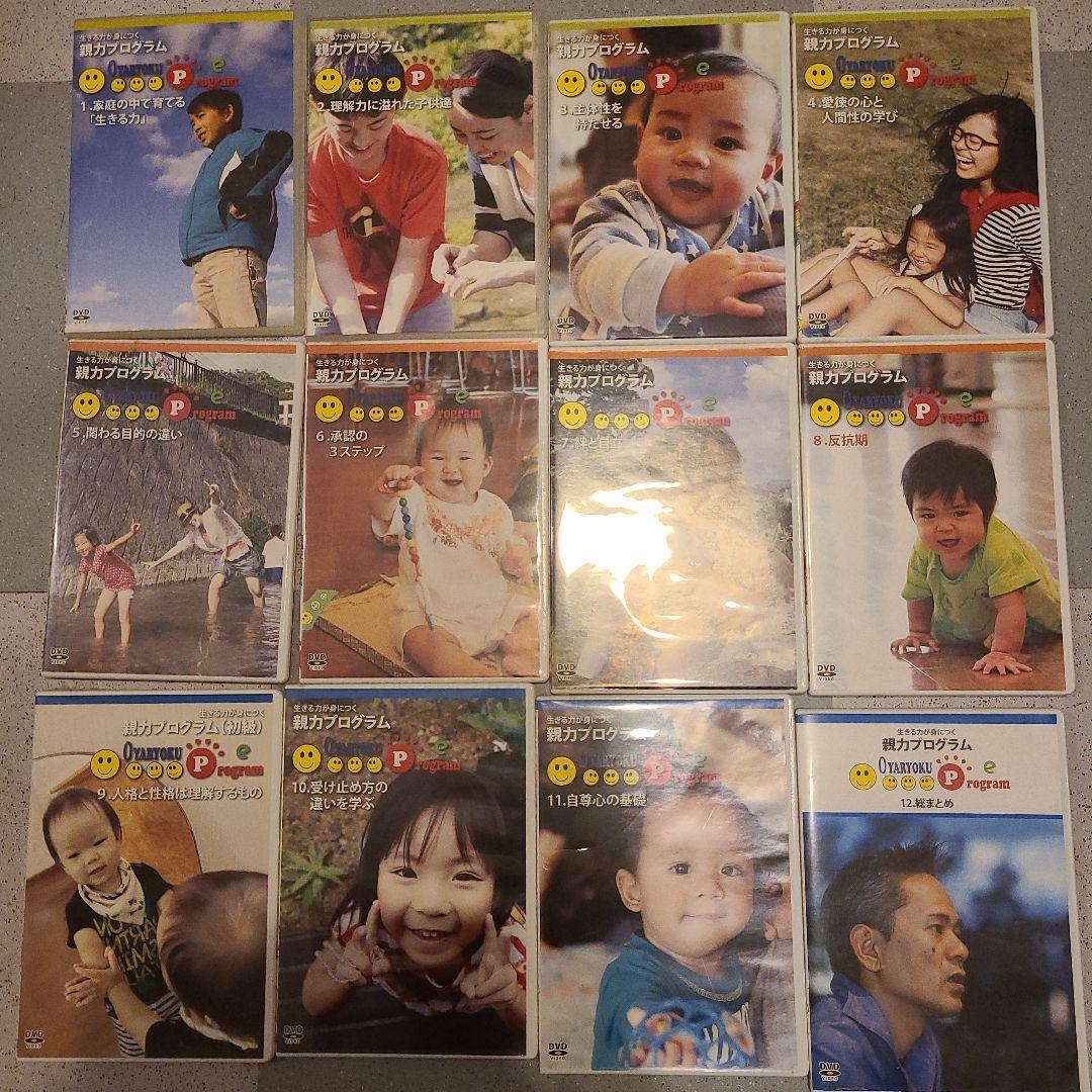 親力プログラム DVD 12枚セット