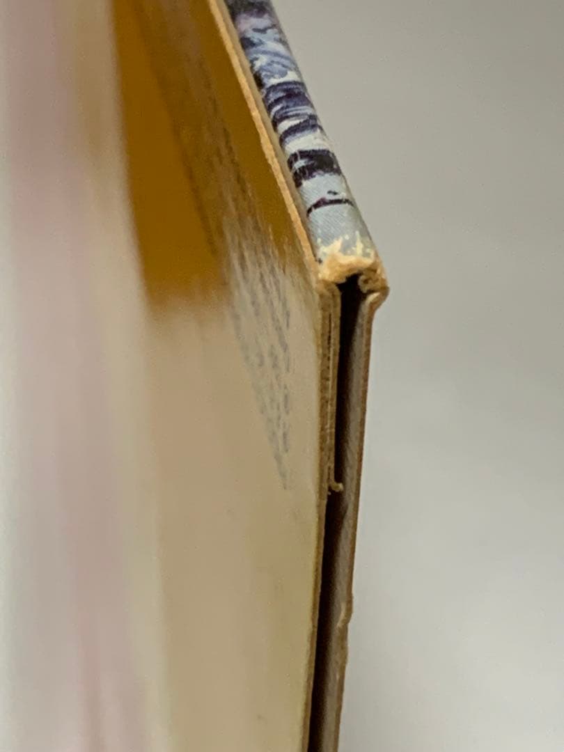 1992年　Nirvana Incesticide レコード