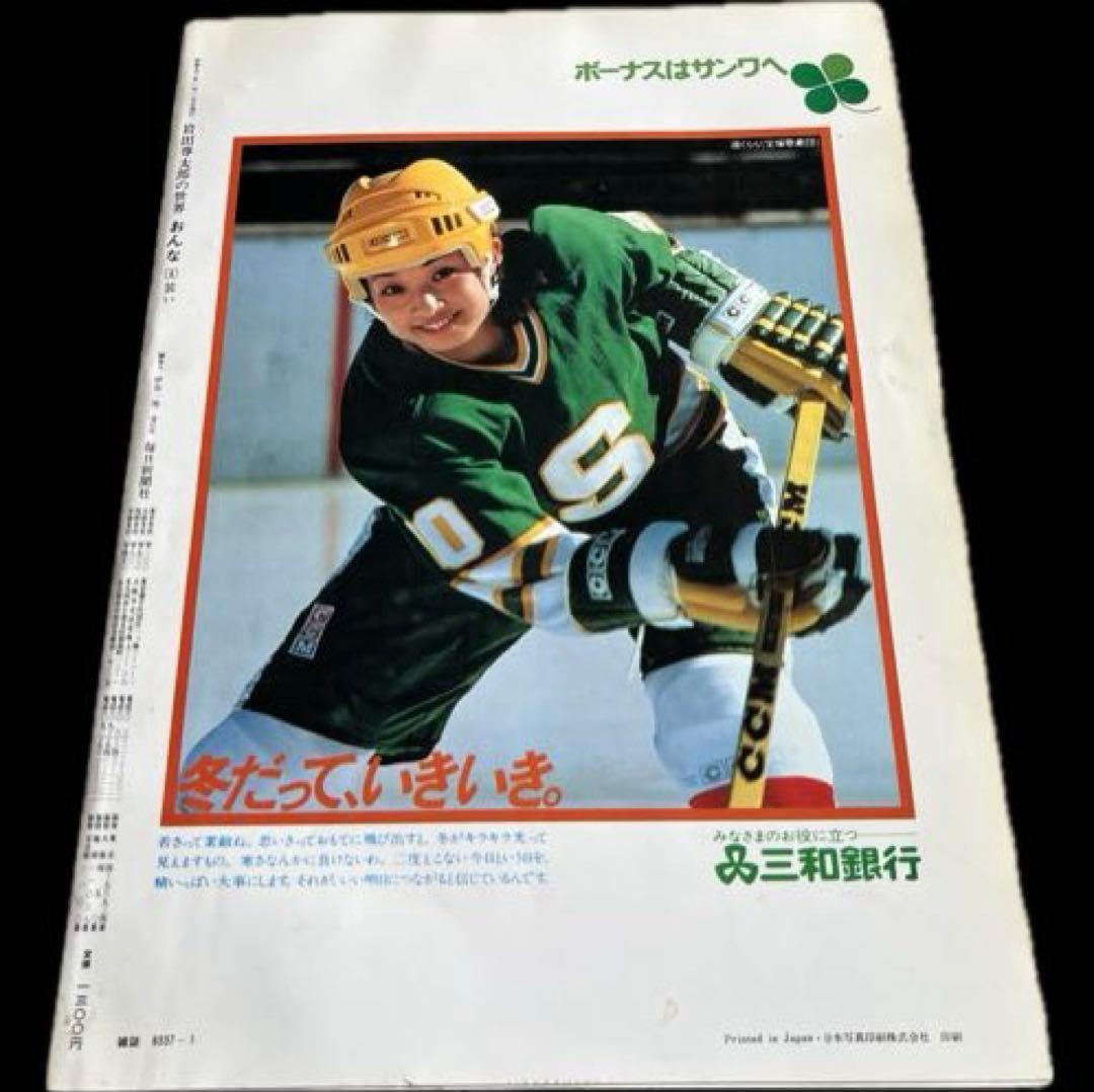 毎日グラフデラックス別冊　岩田専太郎の世界　おんな　色は旬へと　瞳　髪　装い