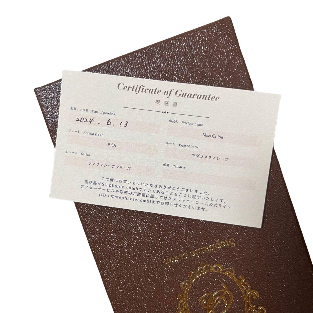 ✨週末限定価格✨ステファニーコーム　ミスクロエ