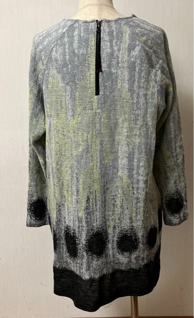 ヒロココシノチエニック