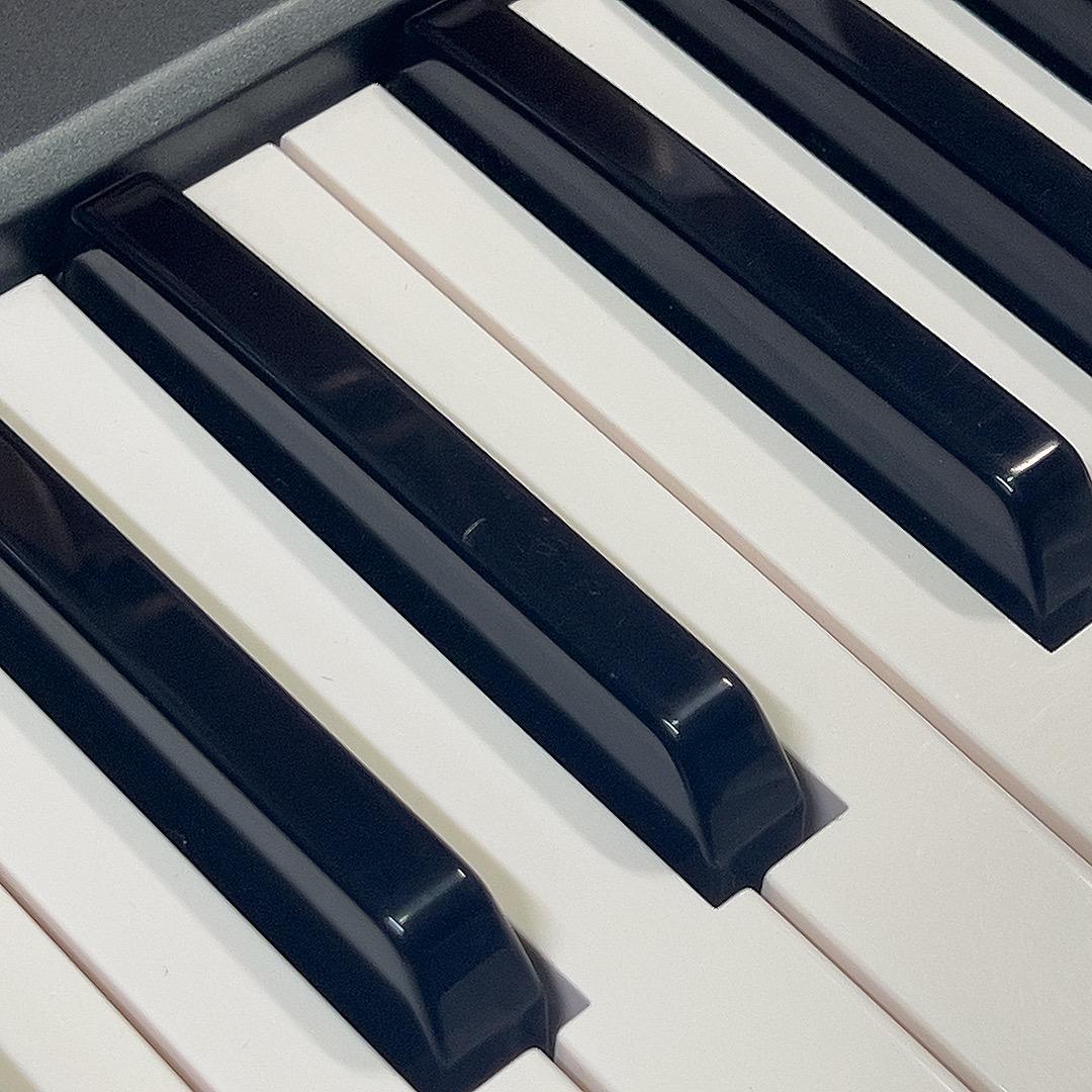 ハーモニーディレクター（YAMAHA HD-100）ACアダプタ・ソフトケース付