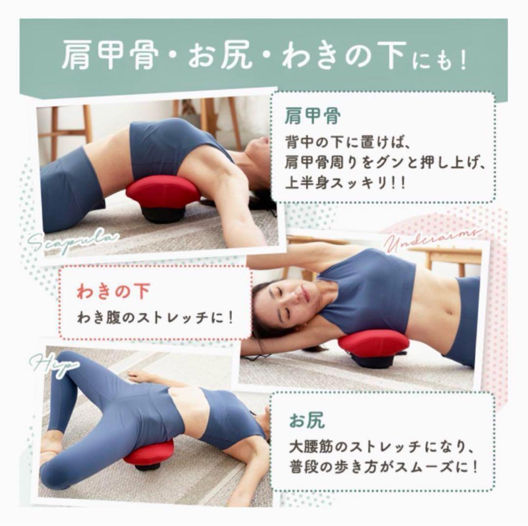 東急スポーツオアシスAir Slimer★エアスリマー★ブラウン