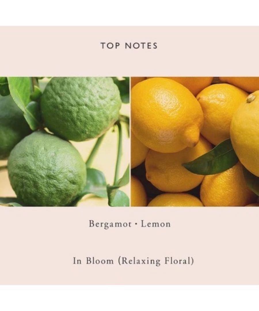 SNIDEL BEAUTY パフュームド ヘア ミスト イン ブルーム 25ml