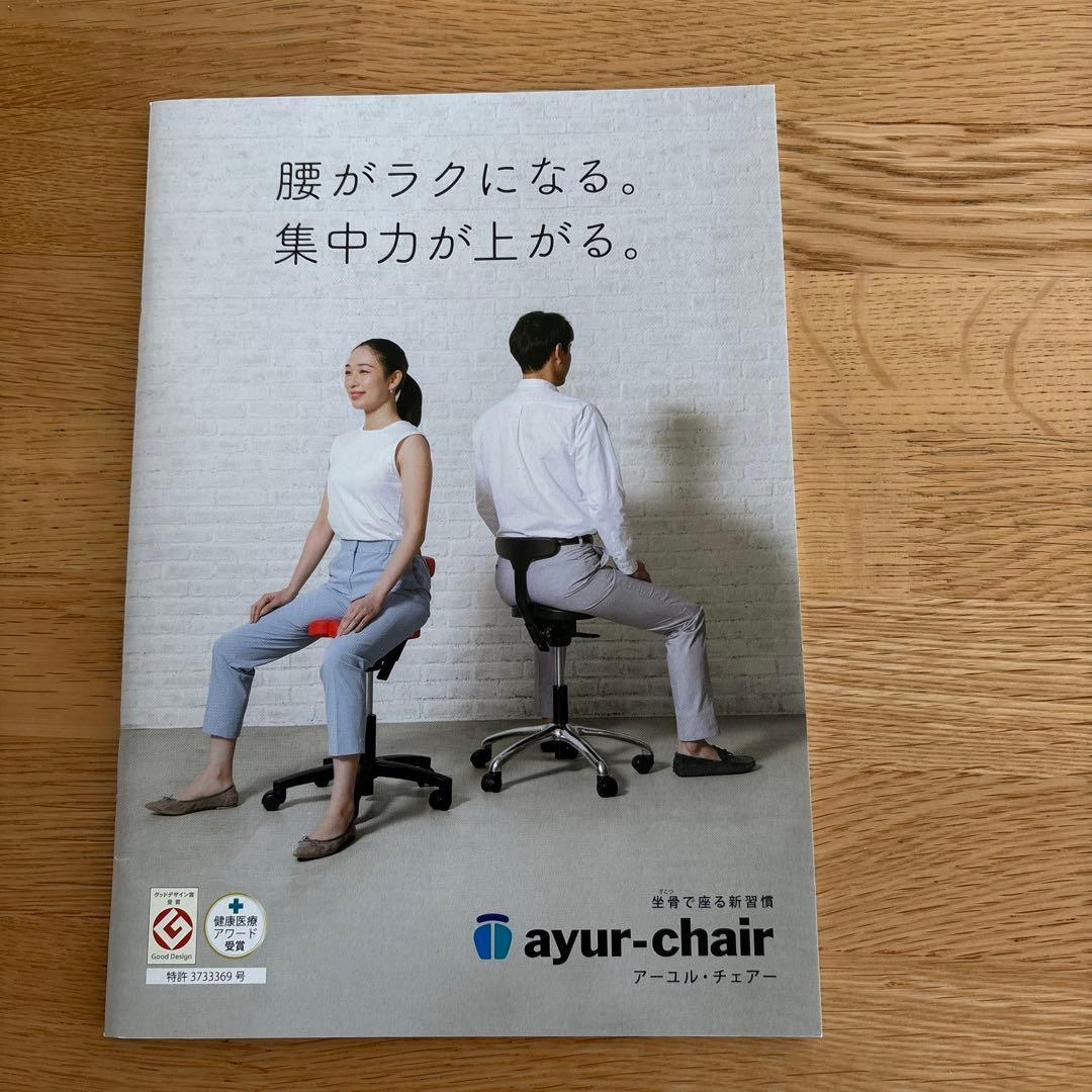 Ayur Chair(アーユルチェアー)オクトパス※シートカバー付き
