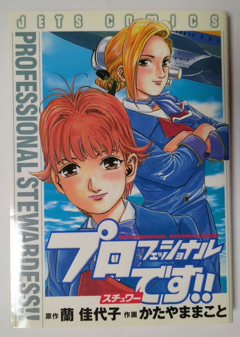 【希少】プロフェッショナル スチュワーです!! / 全1巻 / レア