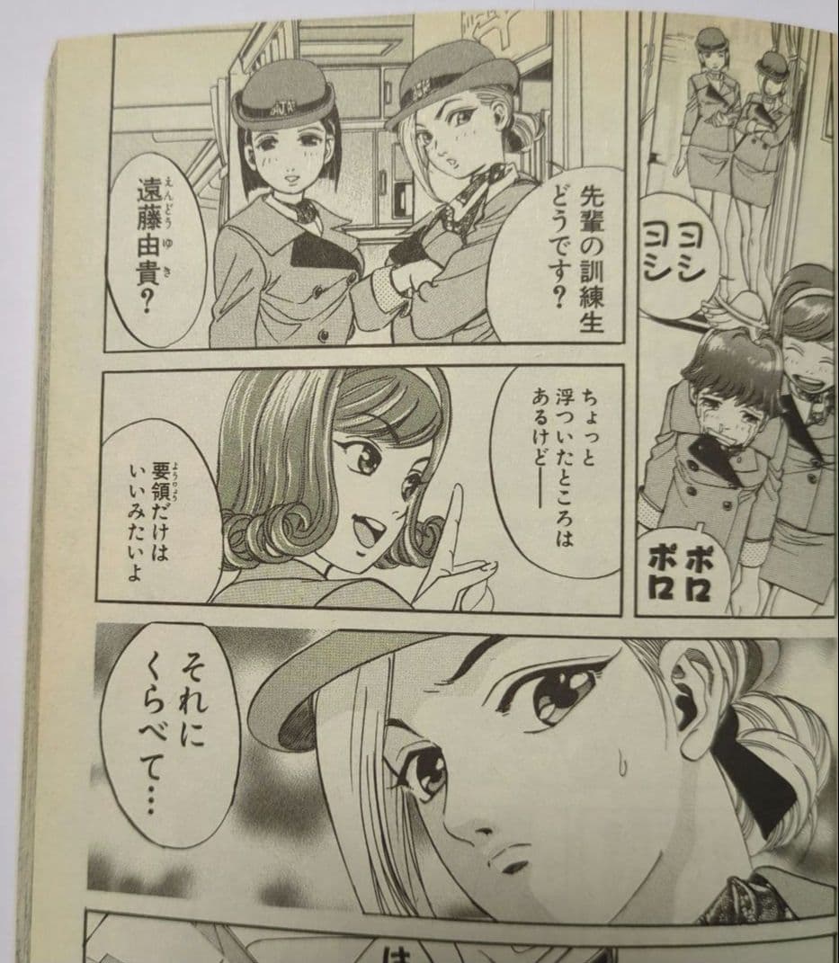 【希少】プロフェッショナル スチュワーです!! / 全1巻 / レア