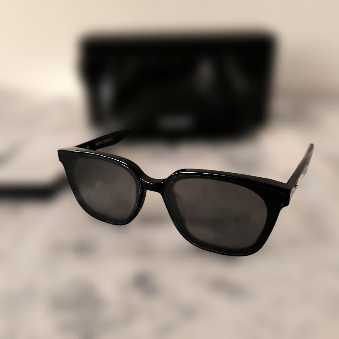 鑑定済/新品未使用品■GENTLE MONSTER Lilit 01 サングラス