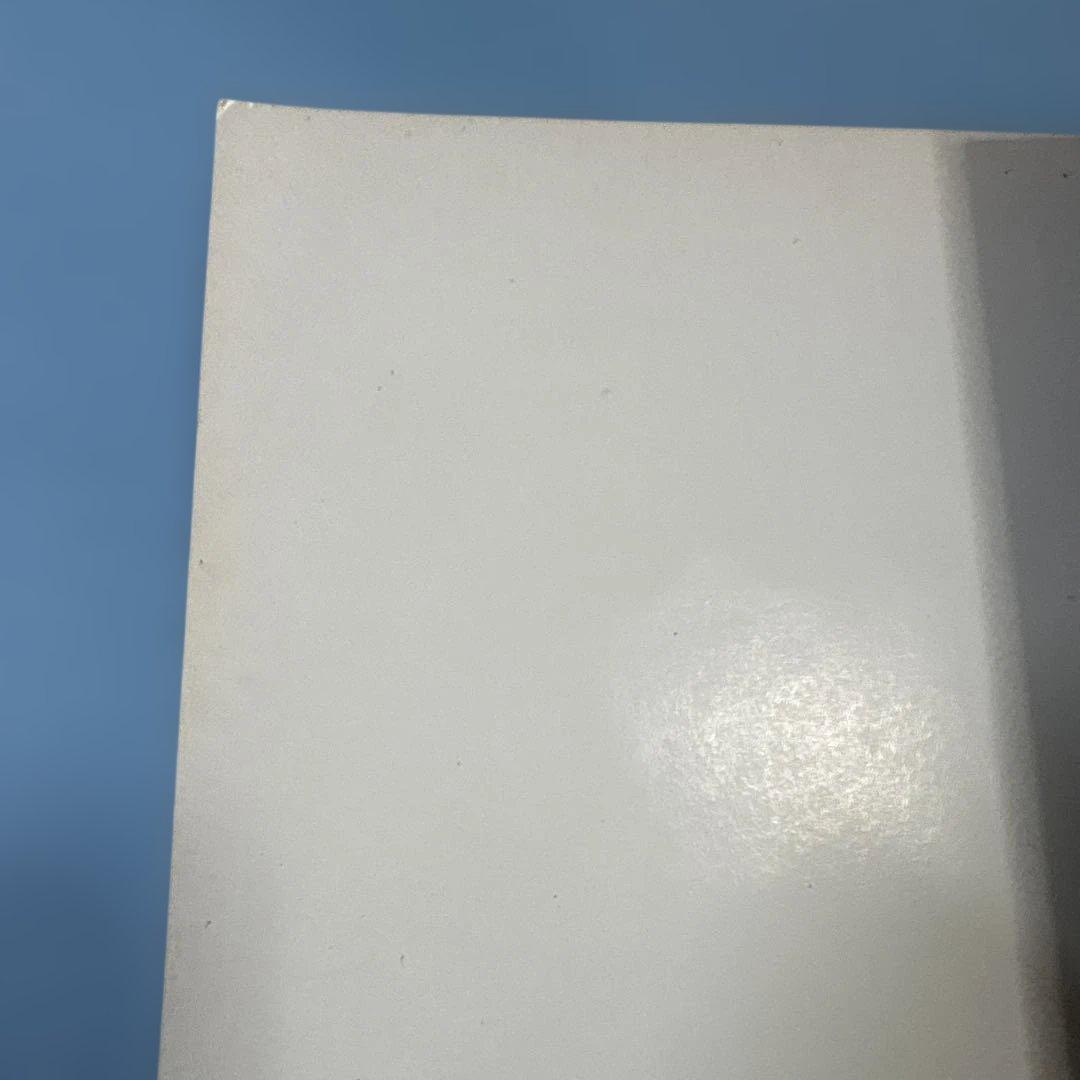 Resident Evil: バイオハザードコードベロニカ（洋書）