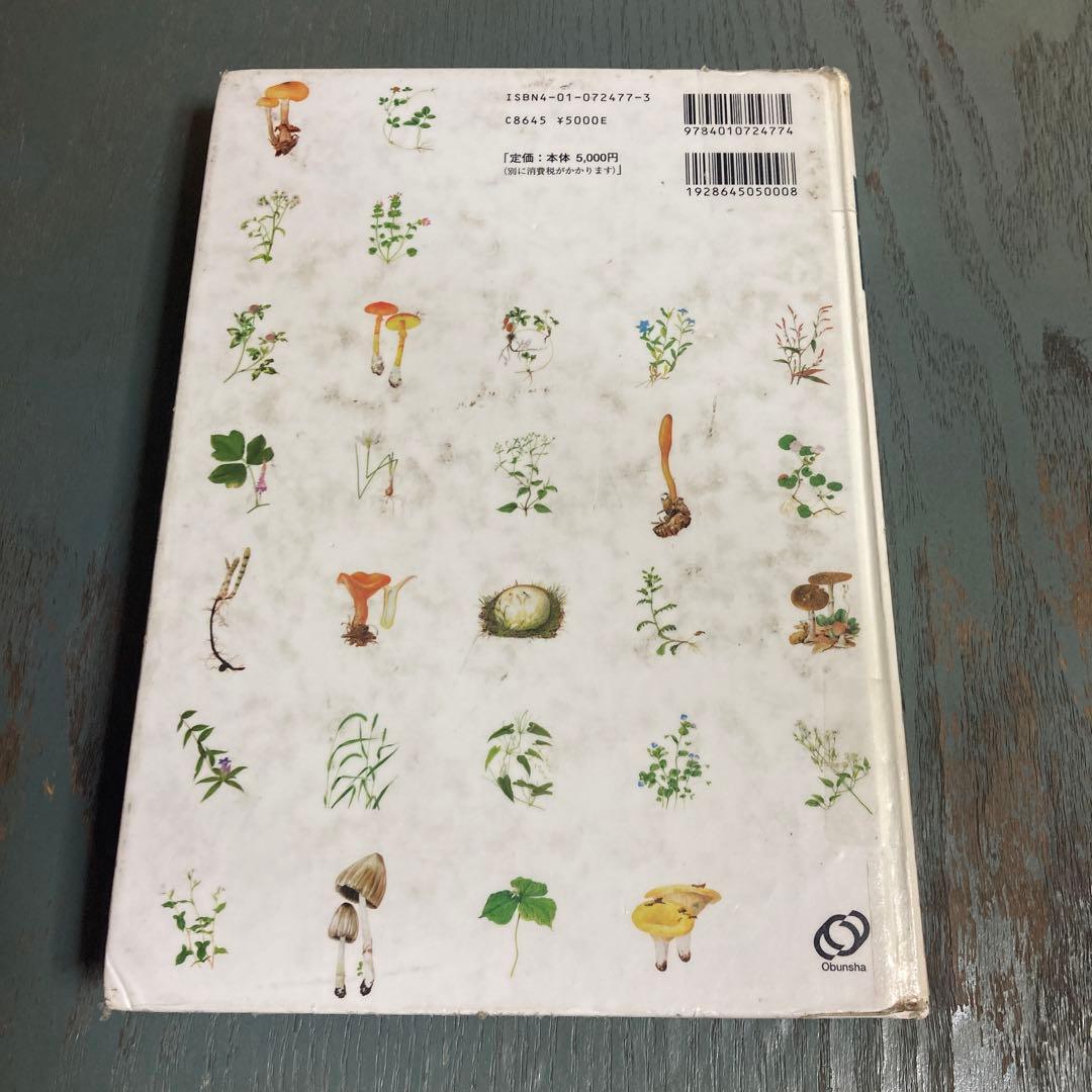 身近な野草とキノコ : 花のつくりがよくわかる植物観察図鑑 旺文社 松原巌樹