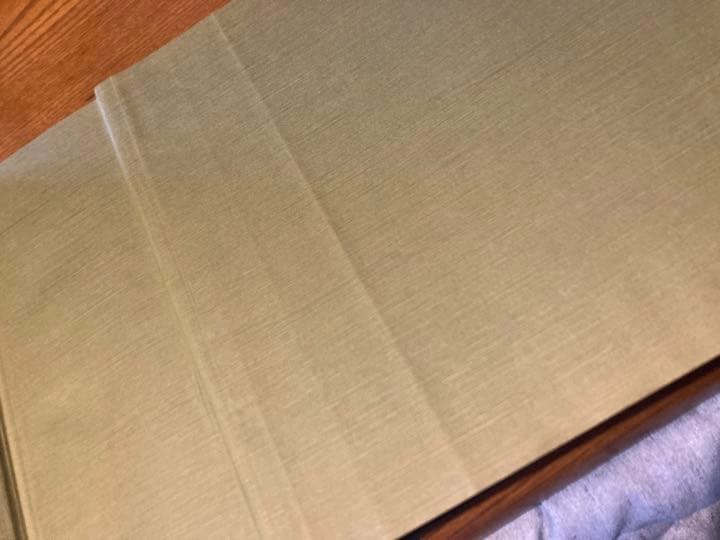 実証蜂針療法解説