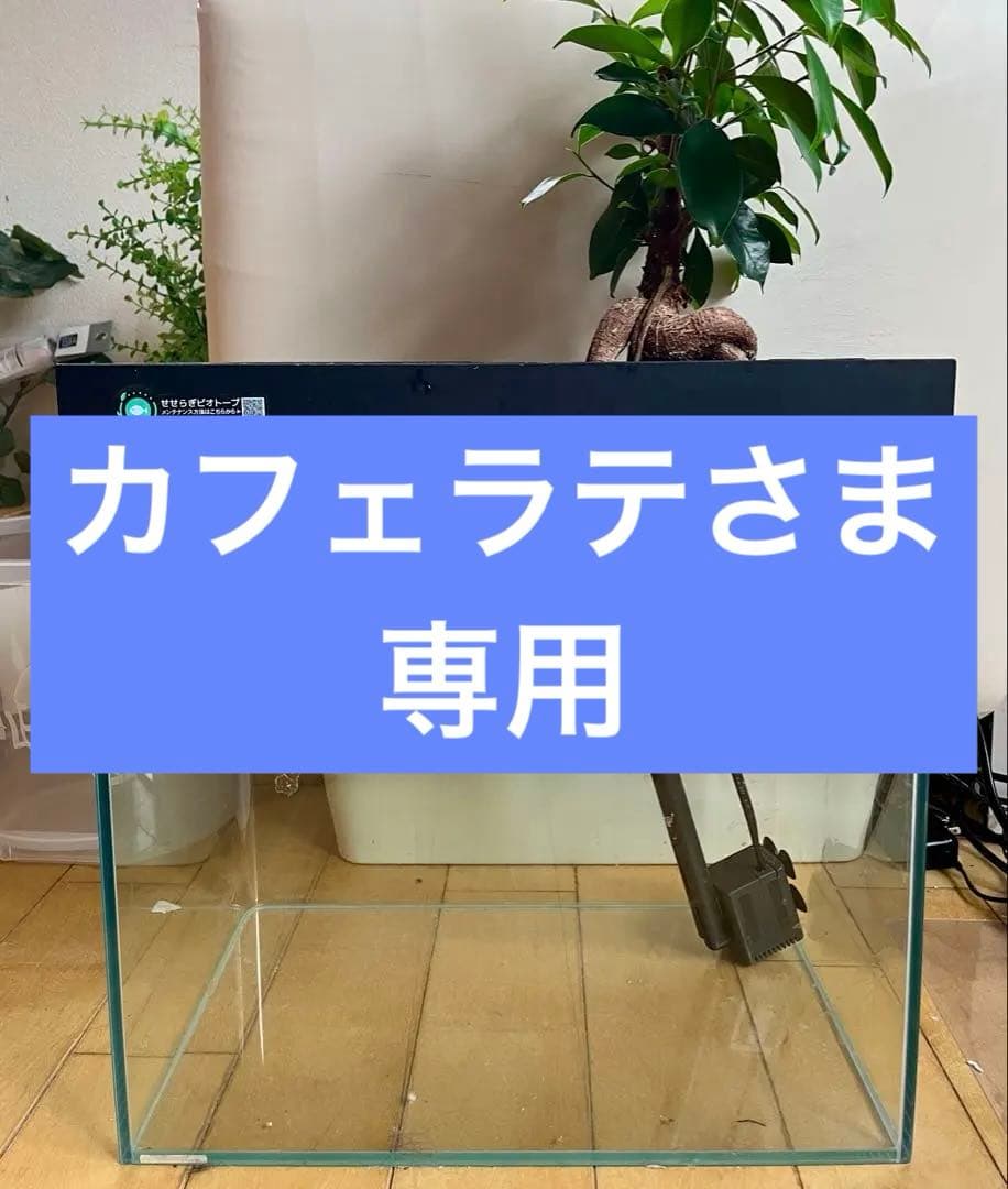 カフェラテさま専用西条庭園 せせらぎビオトープセット