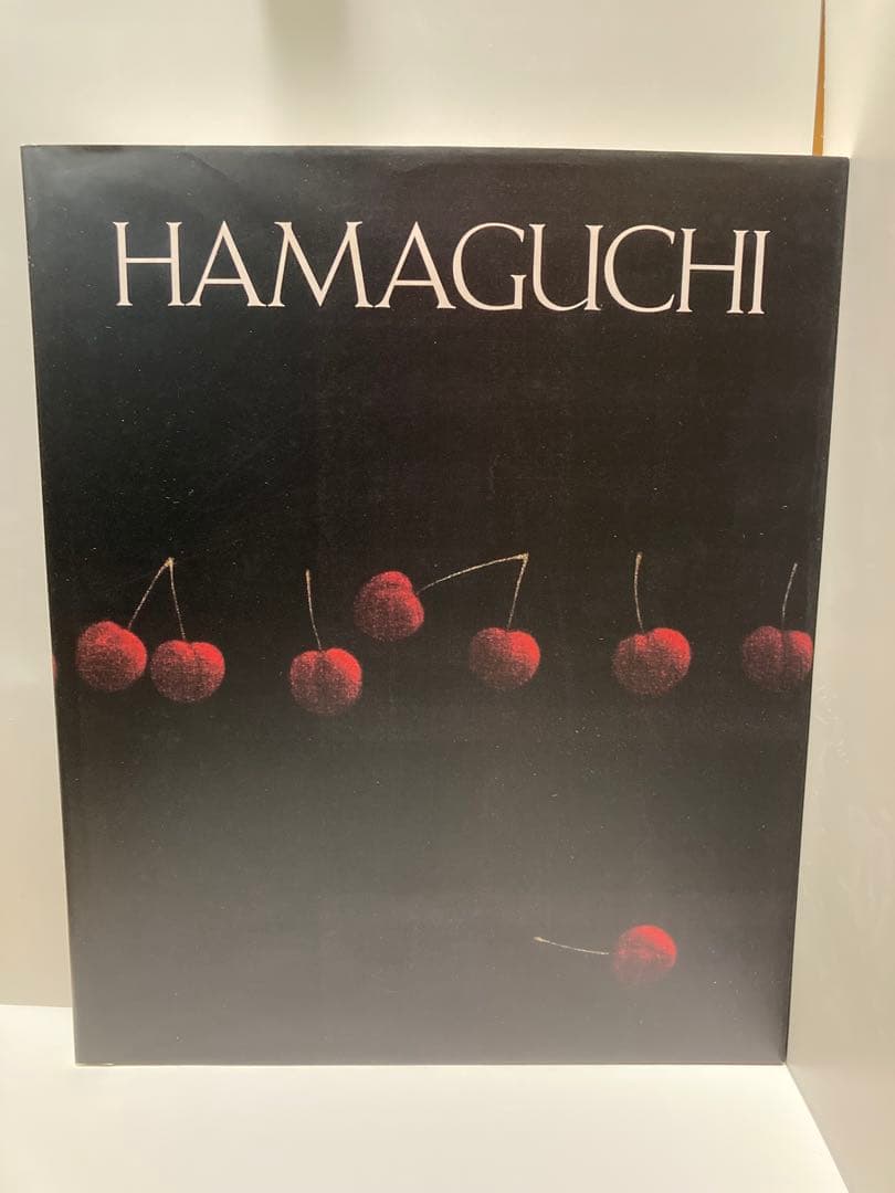 HAMAGUCHI 浜口陽三全版画