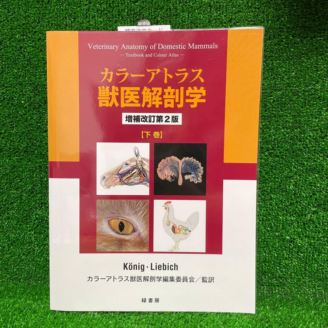 カラーアトラス獣医解剖学 下巻　増補改訂第2版