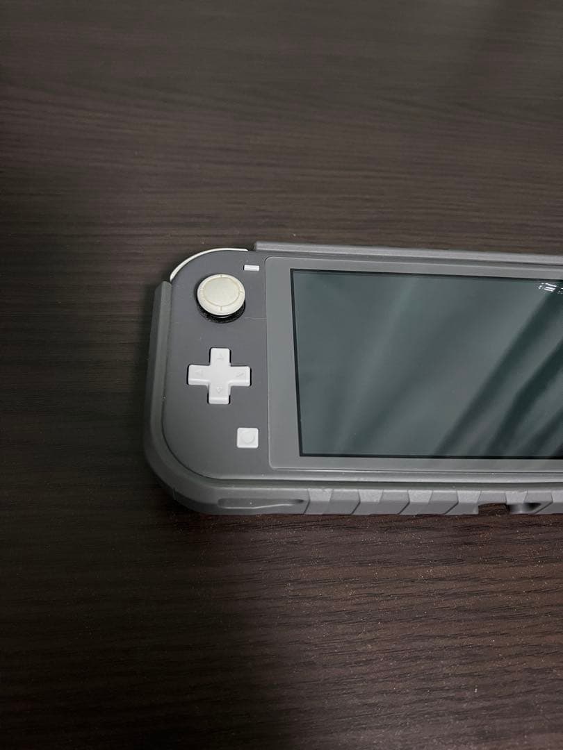 Nintendo Switch Lite グレー 本体 充電器・ケース付き