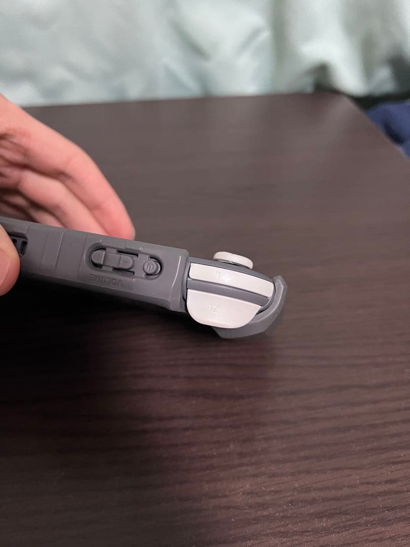 Nintendo Switch Lite グレー 本体 充電器・ケース付き