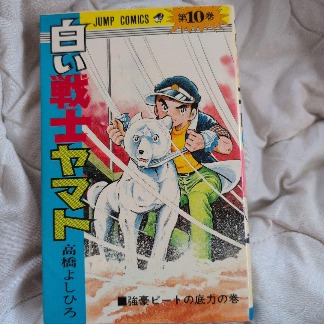 白い戦士ヤマト