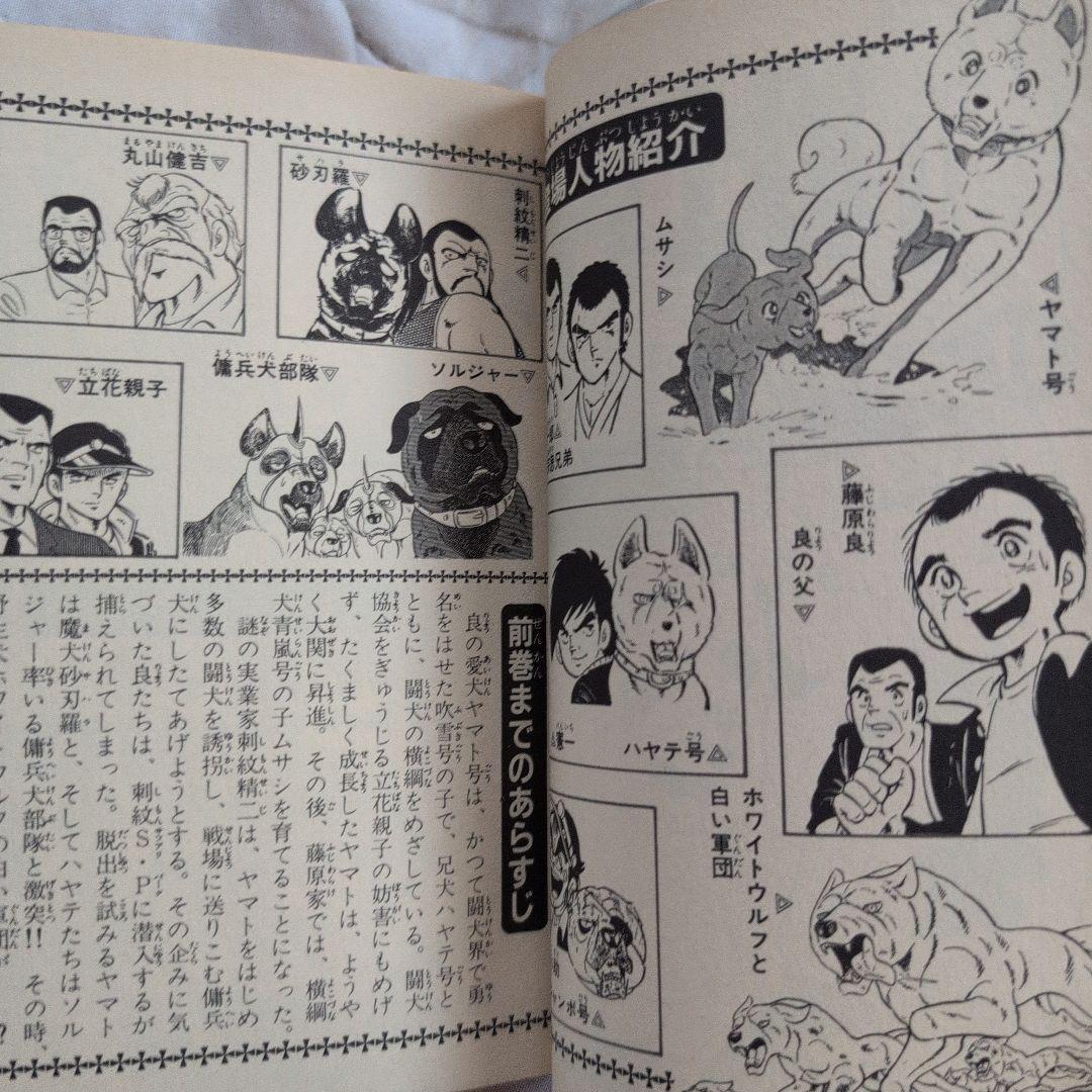 白い戦士ヤマト