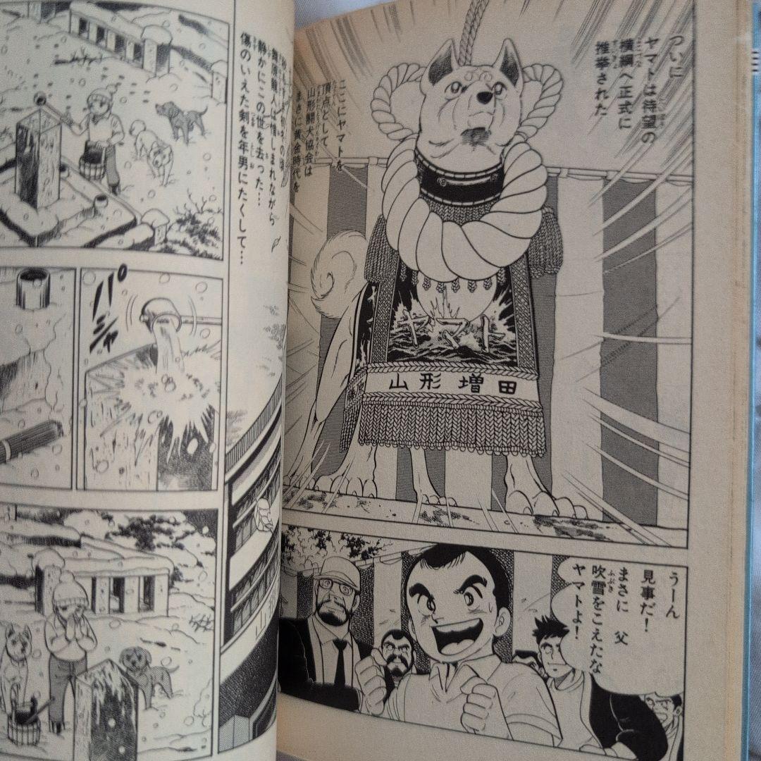 白い戦士ヤマト