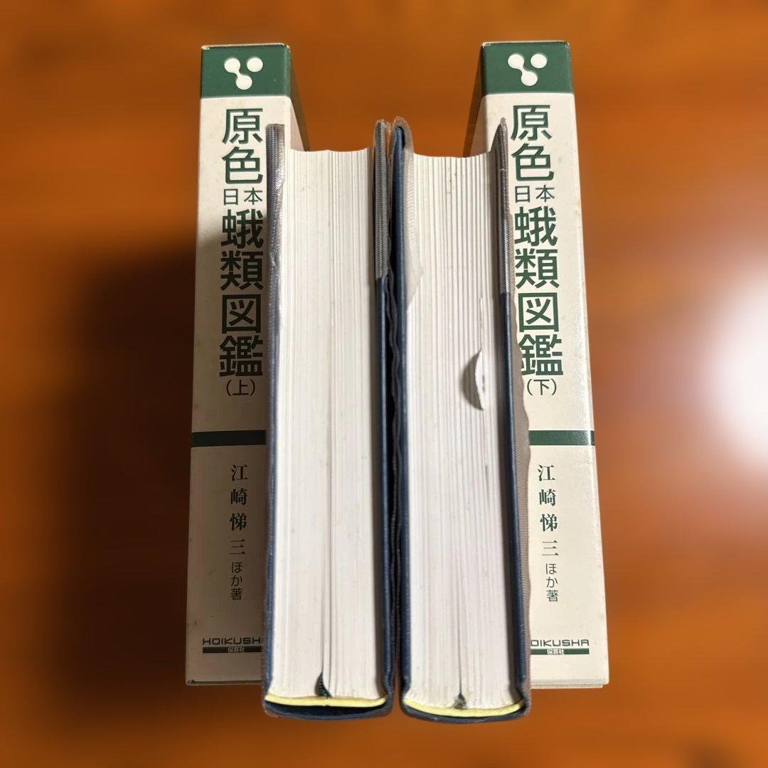 原色日本蛾類図鑑　上下セット